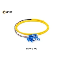 Pigtail 12 Core SC/UPC SM 0.9mm ยาว 1.5 เมตร Pigtail 12 Core SC/UPC SM 0.9mm ยาว 1.5 เมตร