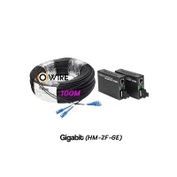 สายไฟเบอร์ออฟติก 2 Core 100 เมตร + Media DX 1G สายไฟเบอร์ออฟติก 2 Core 100 เมตร + Media DX 1G